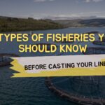 Types of Fisheries