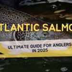 Atlantic Salmon