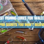 Best Fishing Lures for Walleye
