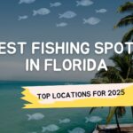 Best Fishing Spots in Florida