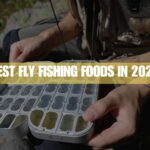 Best Fly Fishing Foods in 2025