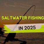 Best Saltwater Fishing Rigs