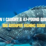 Big Grouper Fishing