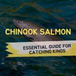 Chinook Salmon
