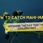 How to Catch Mahi-Mahi