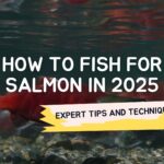 Expert Tips and Techniques