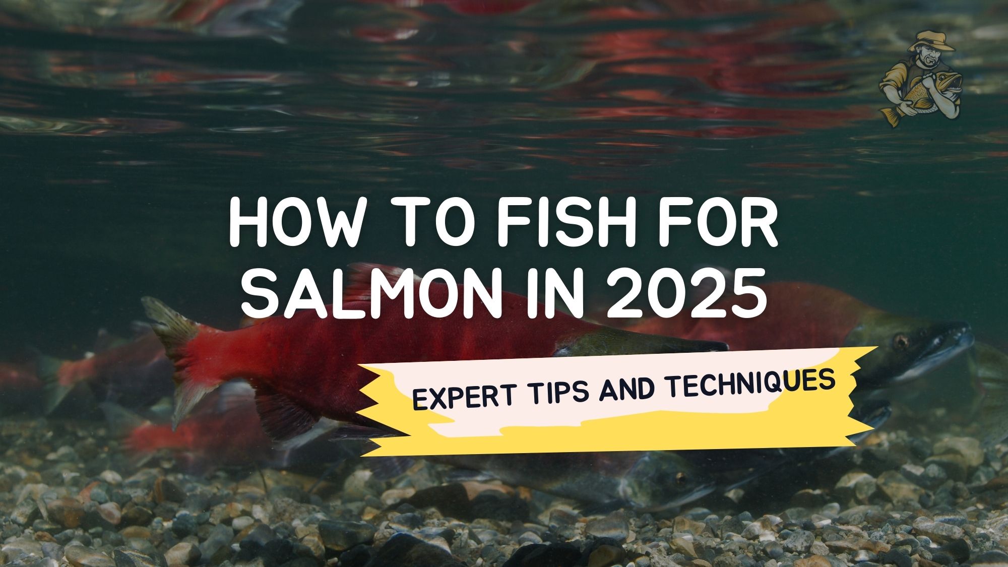 Expert Tips and Techniques
