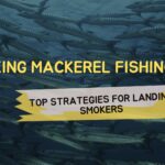 King Mackerel Fishing