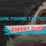 Shark Fishing Tactics