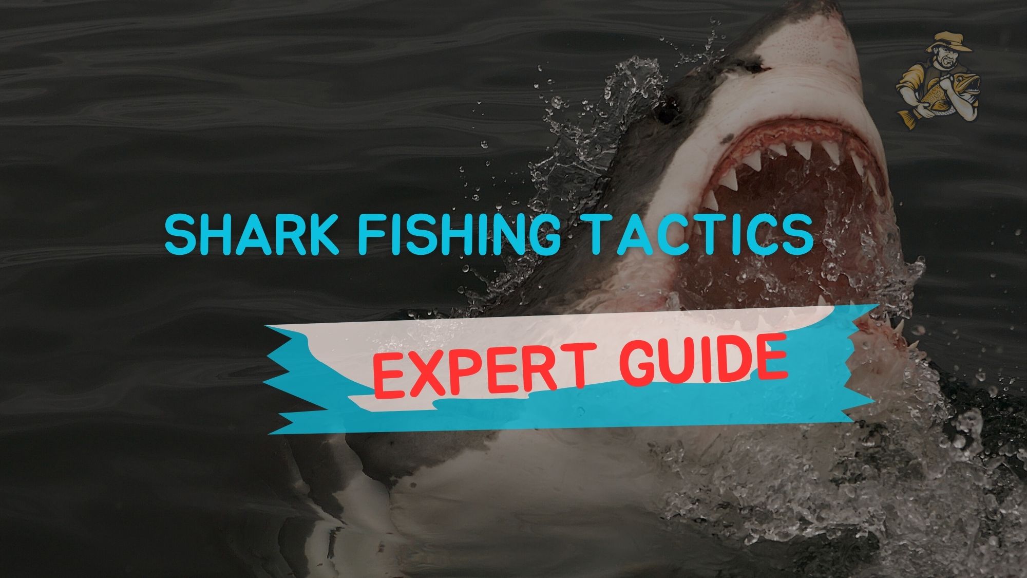 Shark Fishing Tactics