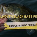 Smallmouth Black Bass Fishing