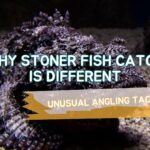 Stoner Fish fishing / Stonefish fishing