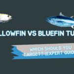 Yellowfin VS Bluefin Tuna