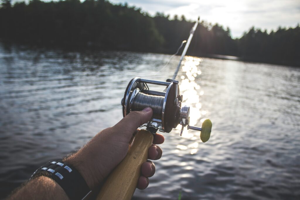 Fishing Like a Pro