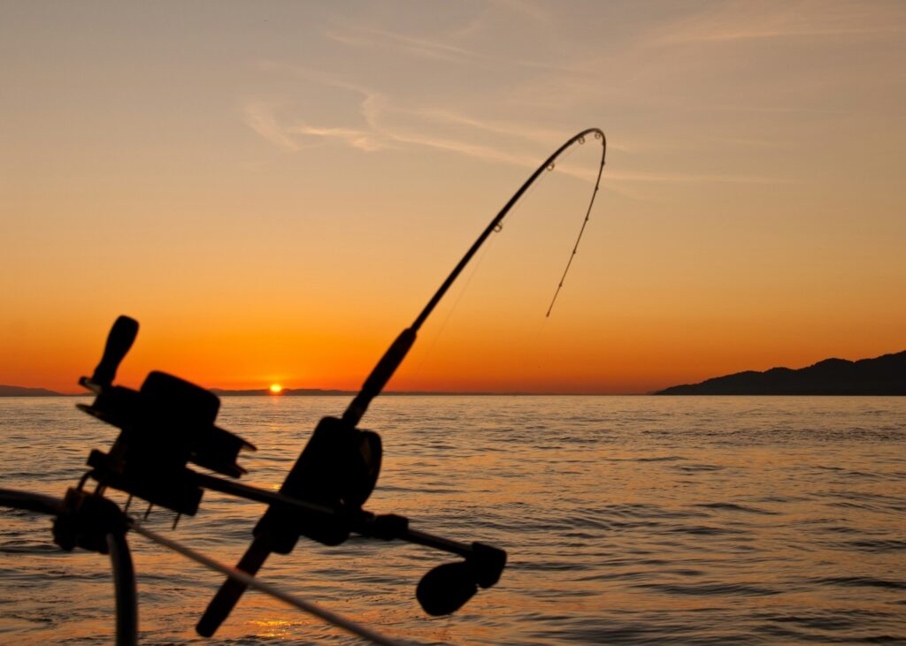 Our guides, written by seasoned anglers, make learning approachable and fun. Whether you’re trying out shore fishing or heading out to sea for the first time, you’ll find resources to help you grow and succeed.