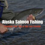 Alaska Salmon Fishing
