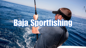 Baja Sportfishing: Marlin, Tuna, and Dorado Tactics Baja Sportfishing