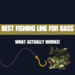 Best Fishing Line for Bass