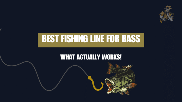 Best Fishing Line for Bass in 2025: What Actually Works Best Fishing Line for Bass