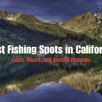 Best Fishing Spots in California