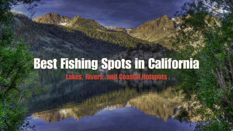 Best Fishing Spots in California: Lakes, Rivers, and Coastal Hotspots Best Fishing Spots in California