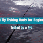 Best Fly Fishing Rods for Beginners