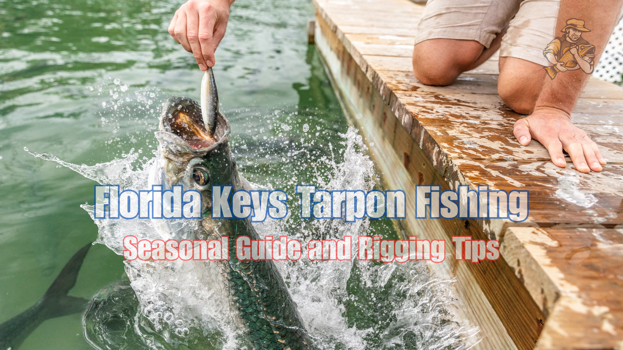 Florida Keys Tarpon Fishing