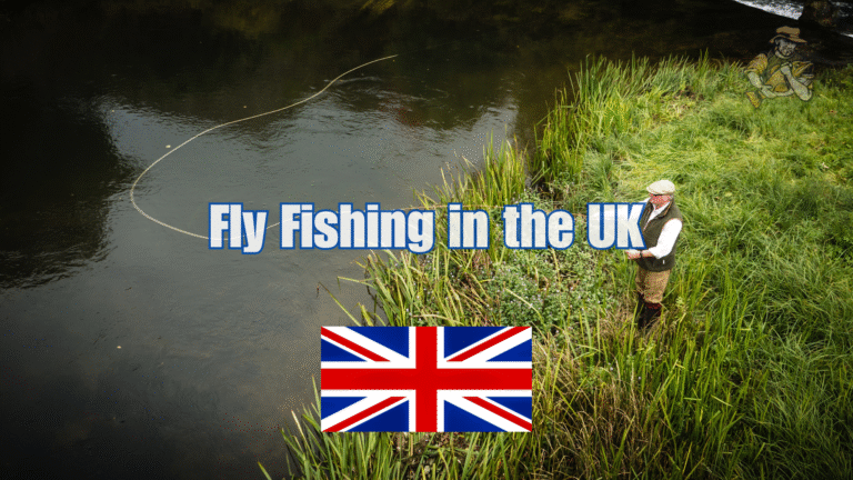 Fly Fishing in the UK: Top Rivers and Seasonal Patterns Fly Fishing in the UK
