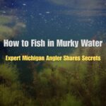 How to Fish in Murky Water