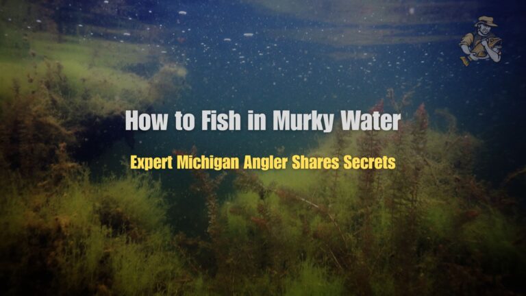 How to Fish in Murky Water: Expert Michigan Angler Shares Secrets How to Fish in Murky Water