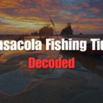 Pensacola Fishing Tides