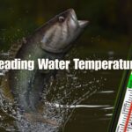 Reading Water Temperature Fishing