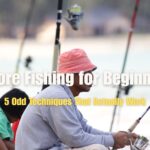 Shore Fishing for Beginners