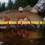 trout fishing in lakes