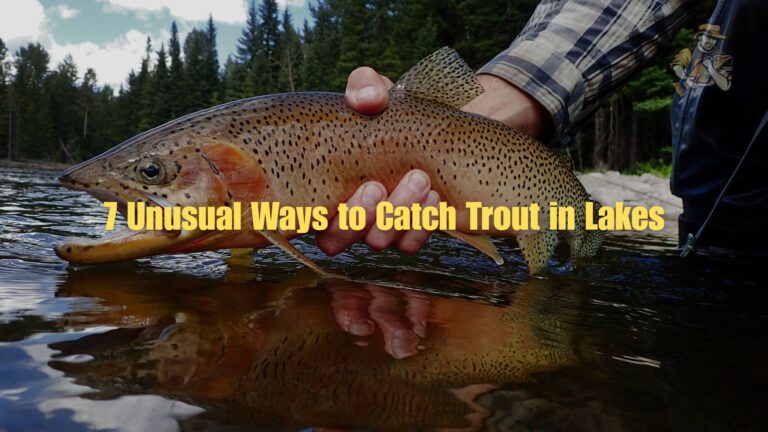 7 Unusual Ways to Catch Trout in Lakes (That Most Anglers Miss) trout fishing in lakes